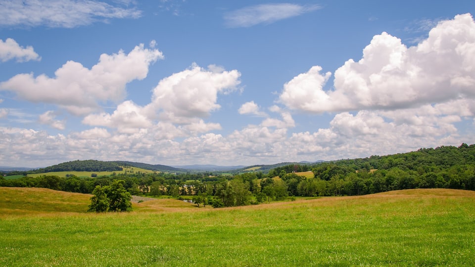 A green field with a hill in the distance and a blue sky with clouds.