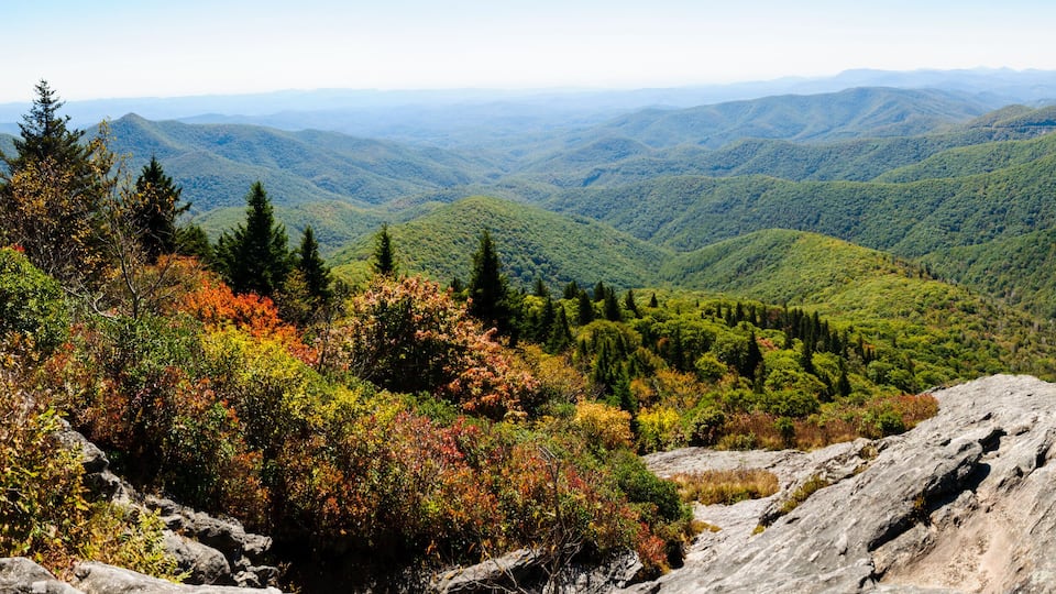 A mountainous landscape with dense forests and rocky outcrops.