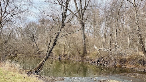 Great day using my new eBike..