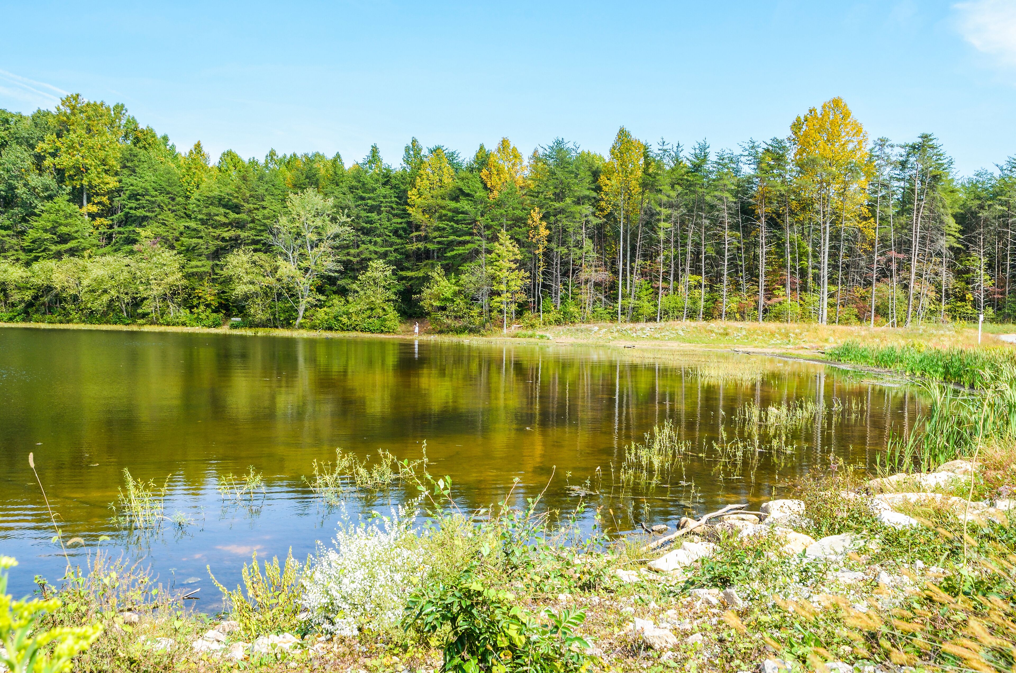 Burke Lake landscape in Virginia with water during summer in peaceful landscape