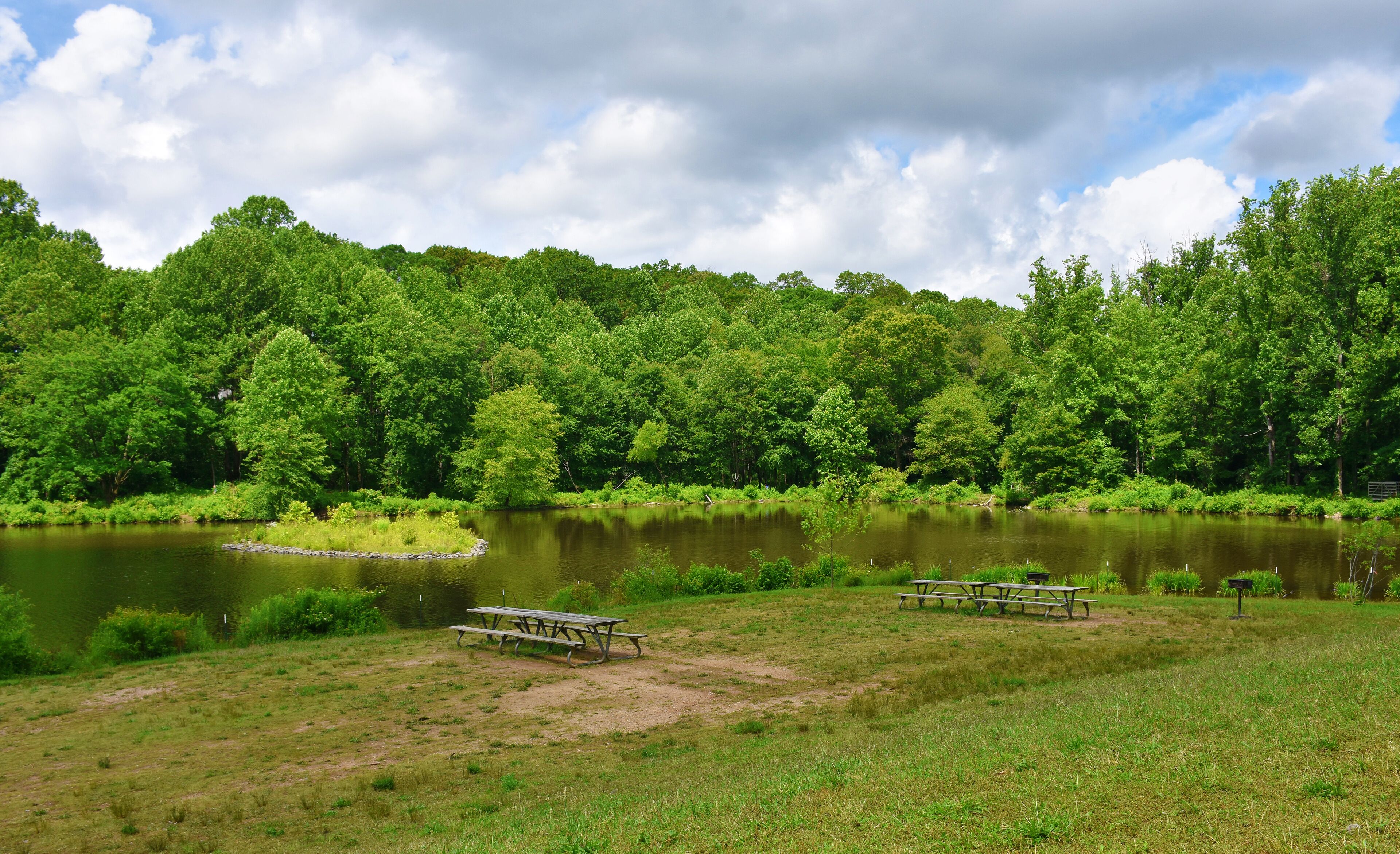 Woodland & Recreation Area at Royal Lake, Fairfax, Virginia, USA