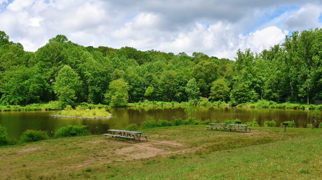Woodland & Recreation Area at Royal Lake, Fairfax, Virginia, USA