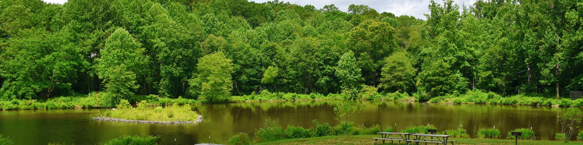 Woodland & Recreation Area at Royal Lake, Fairfax, Virginia, USA