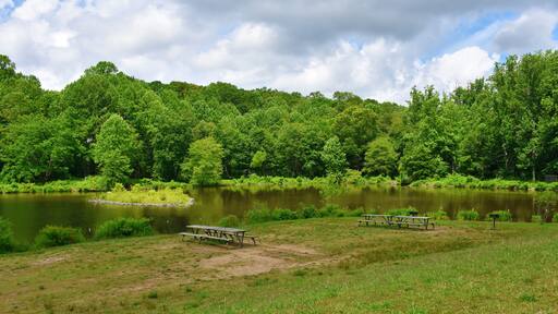 Woodland & Recreation Area at Royal Lake, Fairfax, Virginia, USA