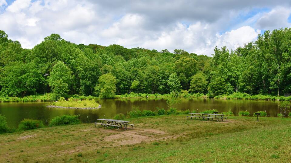 A serene lakeside picnic area surrounded by lush green trees and a clear sky.