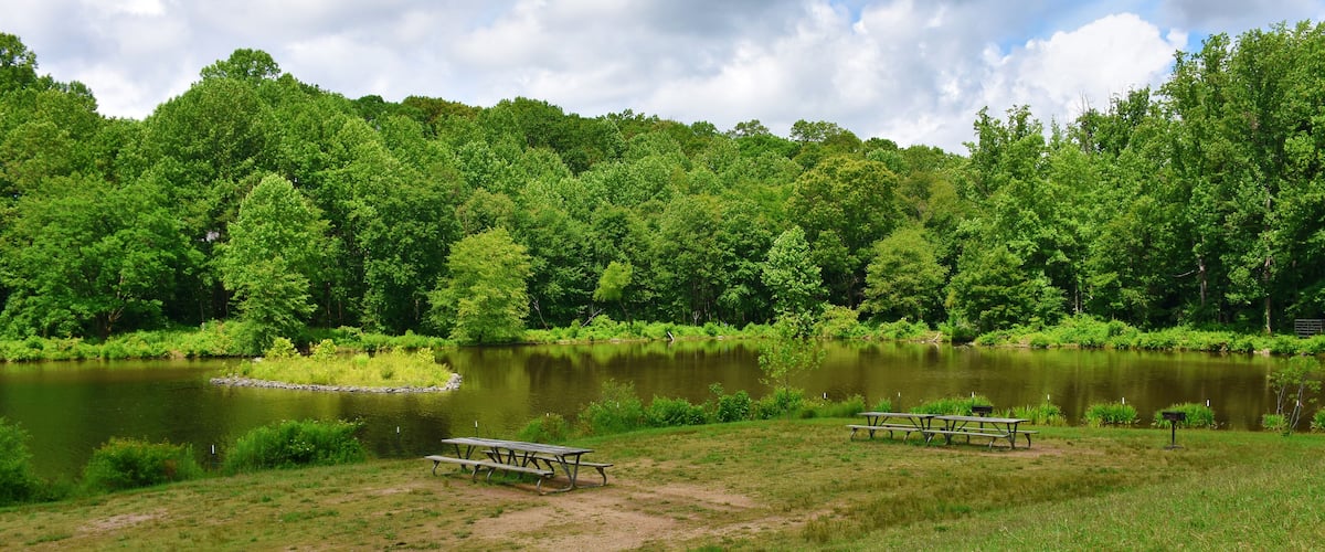 A serene lakeside picnic area surrounded by lush green trees and a clear sky.