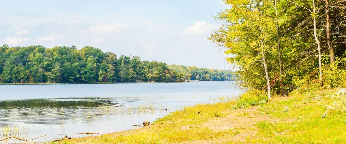 Burke Lake landscape in Virginia with water during summer in peaceful landscape