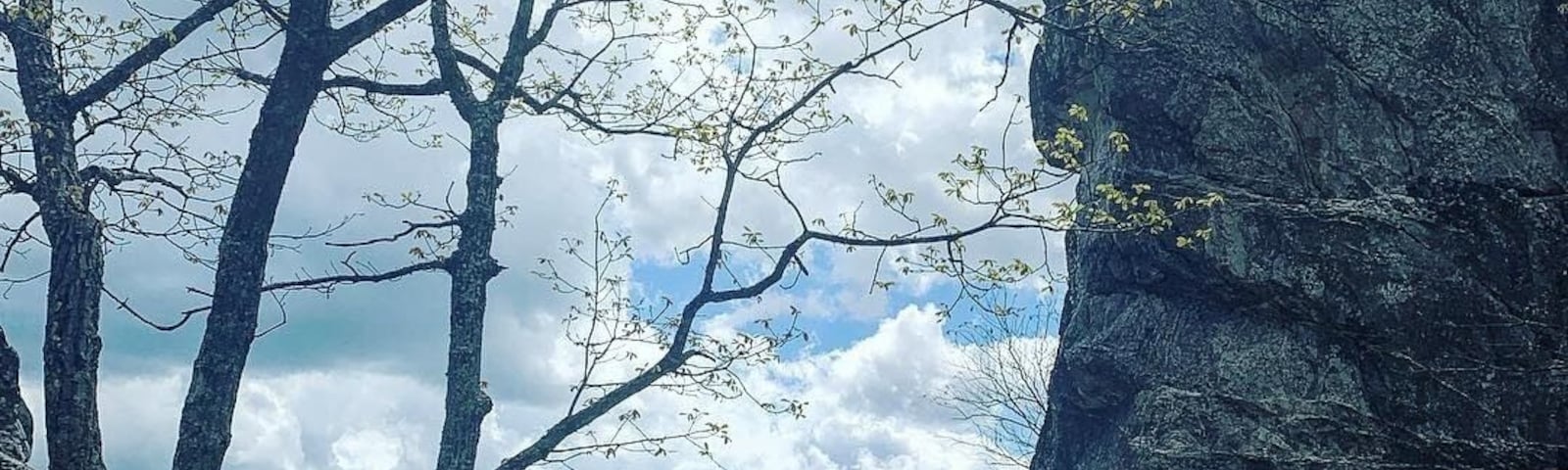 “This mountain is just your ladder”..
To 360 degree views of surrounding mountains. Shimmy up a divide and scramble across the narrow rocks to the tippy top. Hold on tight due to strong winds. There is about a 20 degree temperature difference at the top of dragons tooth. #adventure