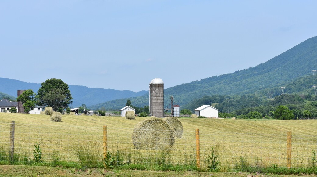 The view from the Catawba Valley Farmers Market, held at the Catawba Center each Thursday afternoon, mid-May to mid-October. Buy LOCAL fruits, vegetables, meats, baked goods, eggs, honey, plants & handicrafts. Live music most weeks.
Details on our website - catawbafarmersmarket.com
This is a view of the Catawba Sustainability Center.