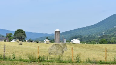 The view from the Catawba Valley Farmers Market, held at the Catawba Center each Thursday afternoon, mid-May to mid-October. Buy LOCAL fruits, vegetables, meats, baked goods, eggs, honey, plants & handicrafts. Live music most weeks.
Details on our website - catawbafarmersmarket.com
This is a view of the Catawba Sustainability Center.