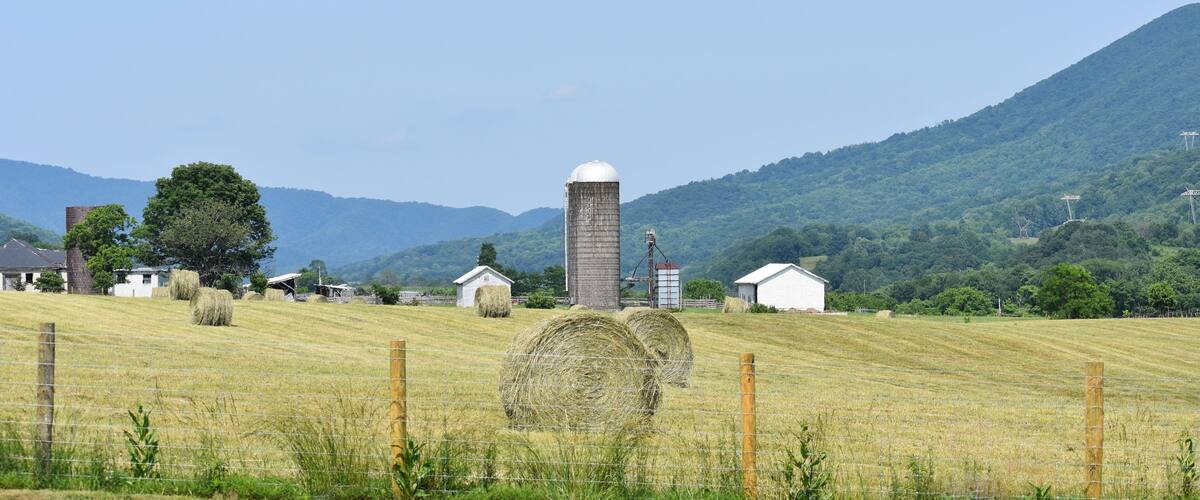 A rural landscape with hay bales, a silo, and farm buildings.