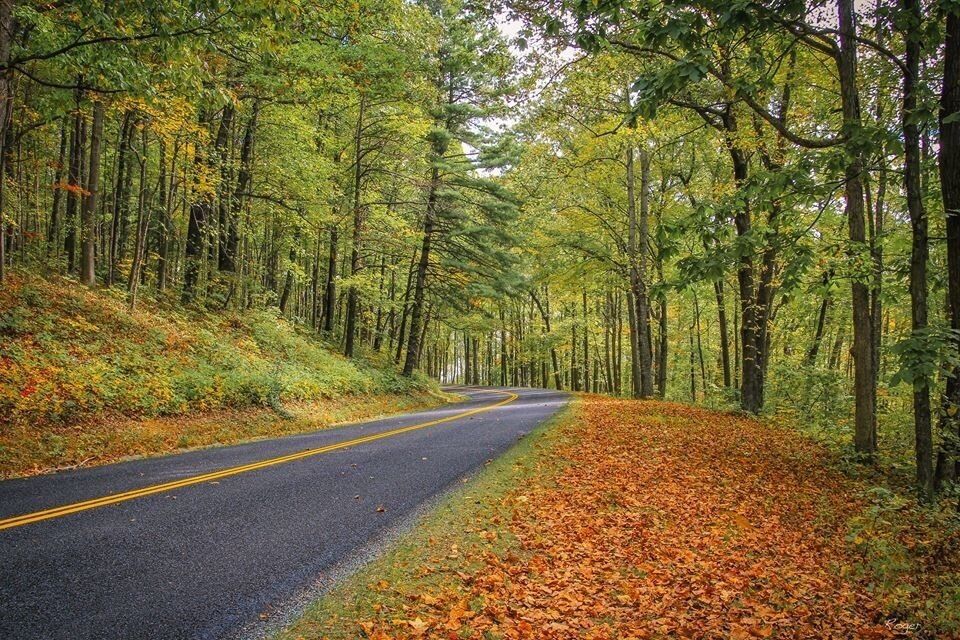 Blue Ridge Parkway Road