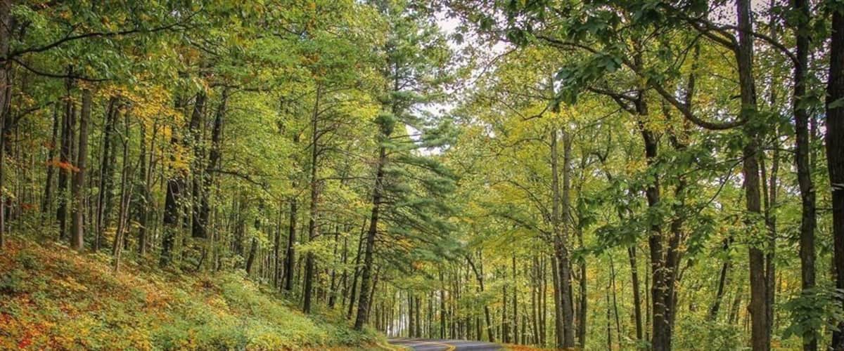 Blue Ridge Parkway Road