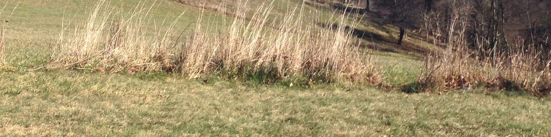 Beautiful spot overlooking the Blue Ridge Mountains