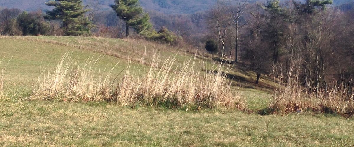 A grassy field with a mountain in the background.