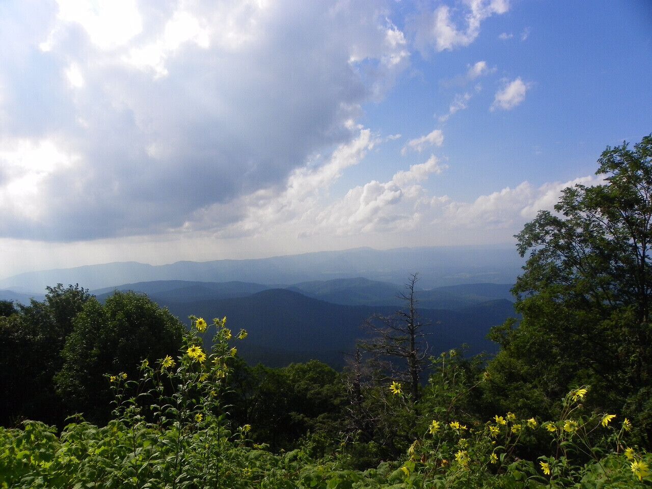 The Appalachian Mountains are a beautiful place that you truly can not compare to anywhere else. This photo frames the Appalachian mountains pretty well. The rolling mountains, the white puffy clouds, and the wild flowers all embody the Appalachian mountains. The majority of the Appalachian community wants the area to look like this too, they would much rather have this to look at rather than buildings and large roads.
#appalachianechoes