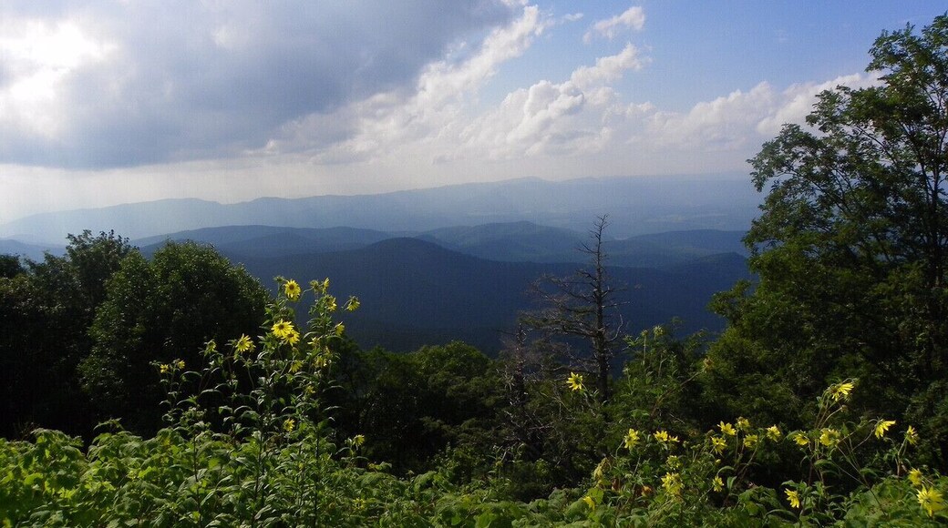 The Appalachian Mountains are a beautiful place that you truly can not compare to anywhere else. This photo frames the Appalachian mountains pretty well. The rolling mountains, the white puffy clouds, and the wild flowers all embody the Appalachian mountains. The majority of the Appalachian community wants the area to look like this too, they would much rather have this to look at rather than buildings and large roads.
#appalachianechoes