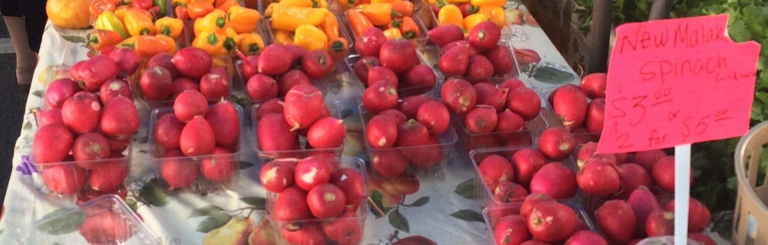 Fabulous farmers market in Woodbridge outside of DC. Some take cards but $20 will get you a few weeks worth of veggies and fruits. #weekendgetaway