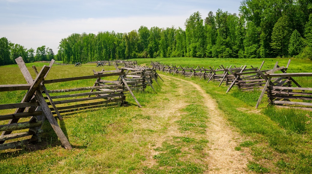 ディスプッタンタ