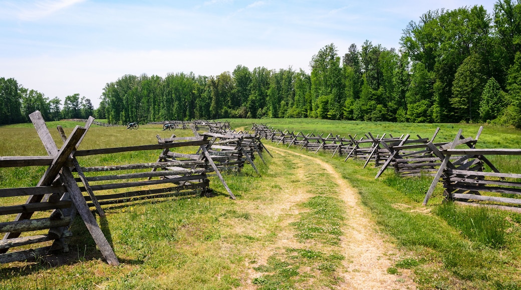 ディスプッタンタ