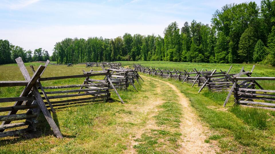 A dirt path flanked by wooden fences in a grassy field with trees in the background.