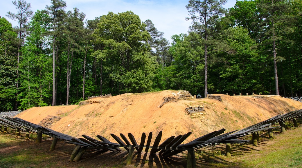 ディスプッタンタ