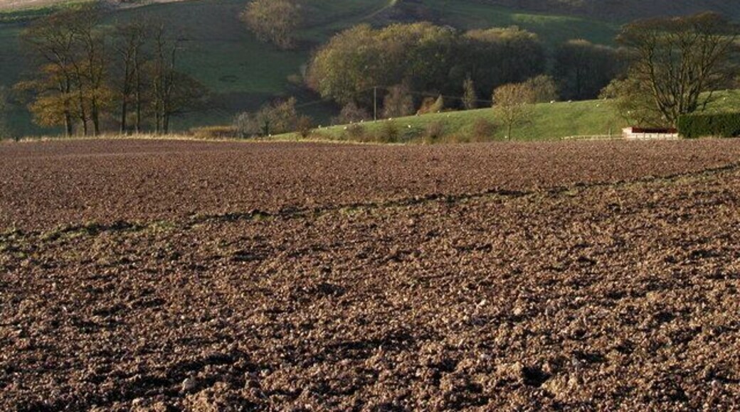 South east of Great Givendale, East Riding of Yorkshire, England.
