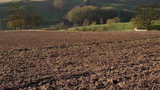 South east of Great Givendale, East Riding of Yorkshire, England.