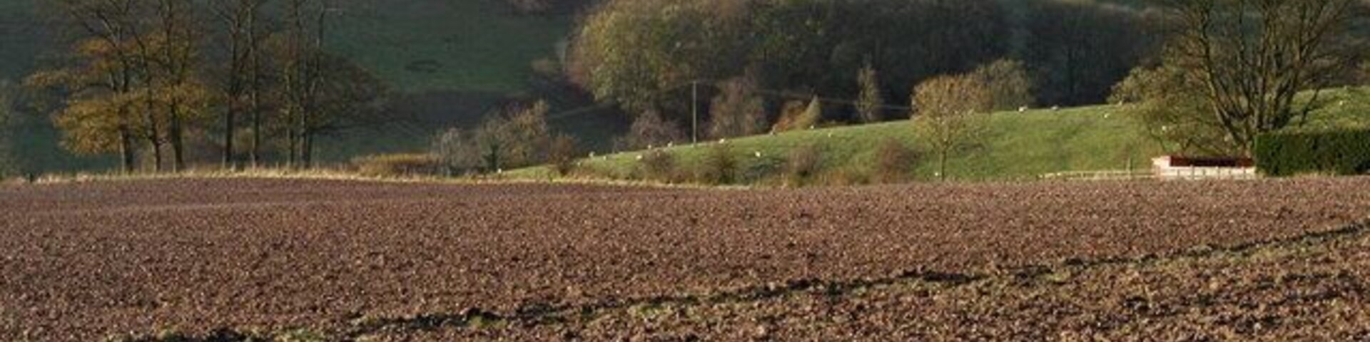 South east of Great Givendale, East Riding of Yorkshire, England.