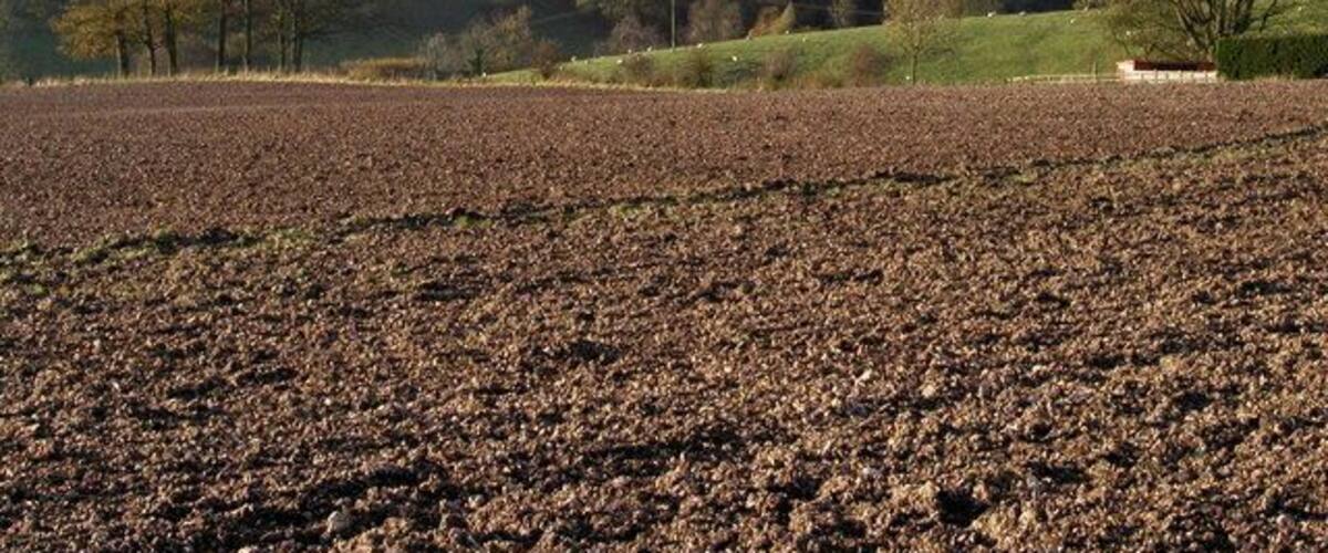 A plowed field, rolling hills, scattered trees, and a distant building.
