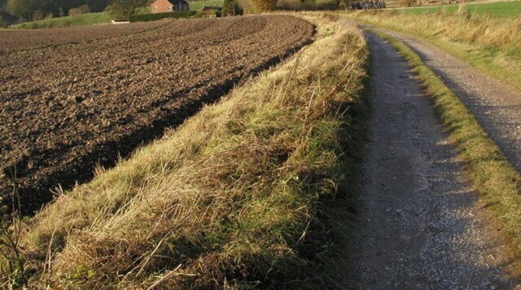 South east of Great Givendale, East Riding of Yorkshire, England.