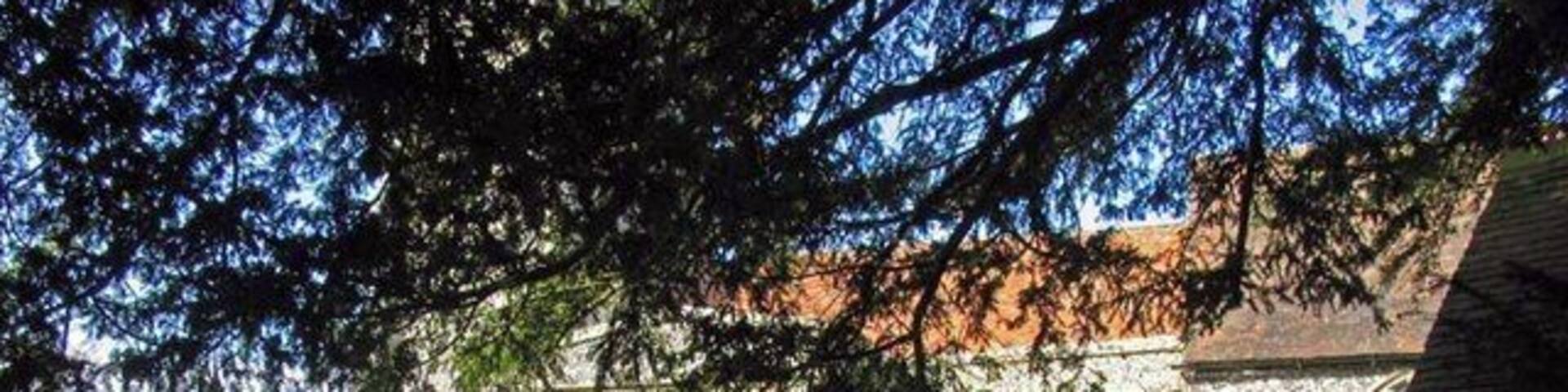 St Nicholas, Rodmersham, Kent