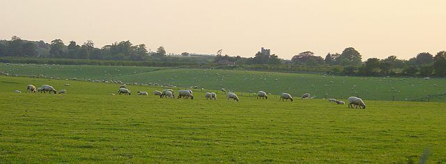 Rodmersham Church from Dully Road. The church stands at TQ925618, most of the pasture in view is in TQ9361.