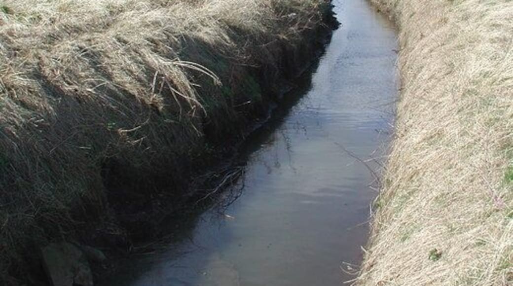 Carr Dike, Fraisthorpe, East Riding of Yorkshire, England. Land drain feeding into The Earl's Dike near Fraisthorpe New Bridge on Bridlington Road.