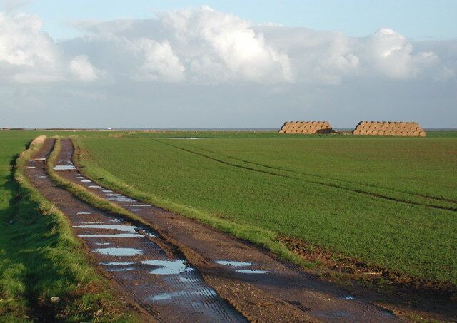 A rural landscape with a muddy path, green fields, and hay bales in the distance.