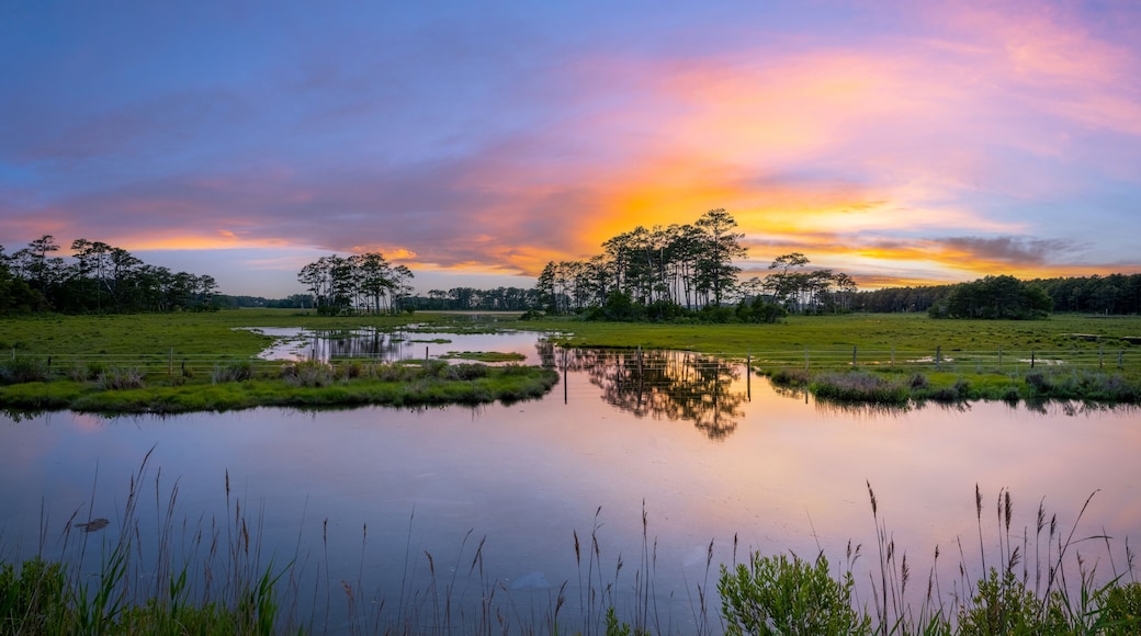 Chincoteague Island marsh sunset in Virginia