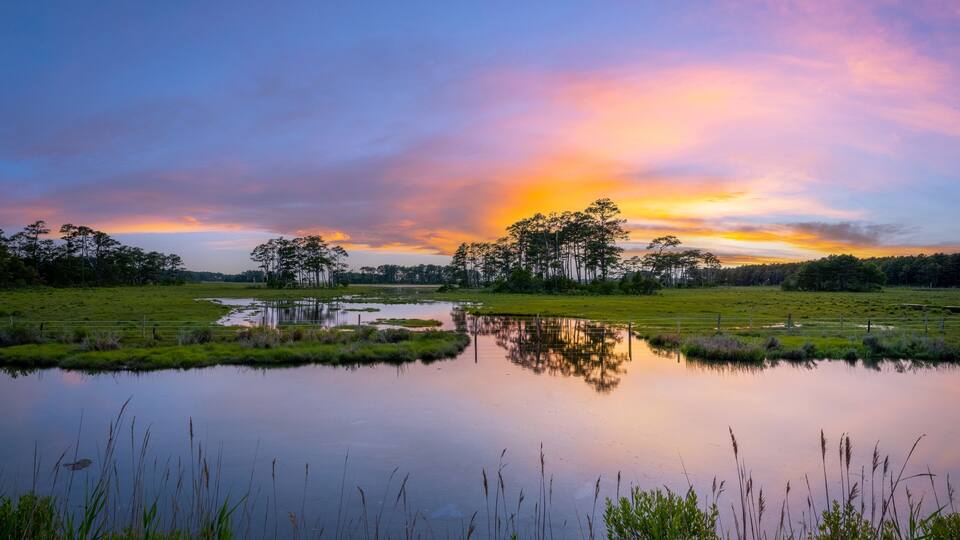 A serene landscape with a calm pond reflecting the sky, surrounded by grassy fields and trees.