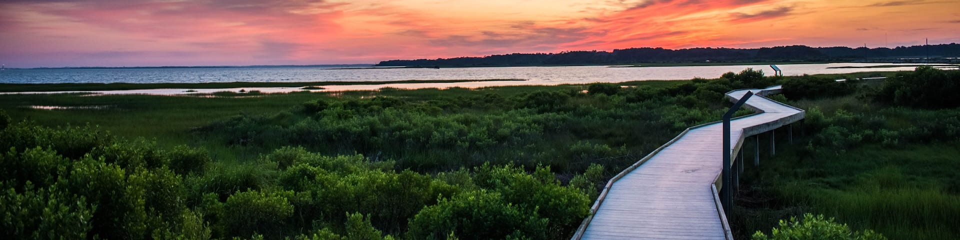 A wooden boardwalk leading through a coastal landscape with dense greenery and a sunset over the water.