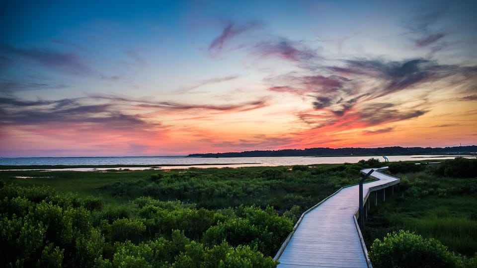 A wooden boardwalk leading through a coastal landscape with dense greenery and a sunset over the water.