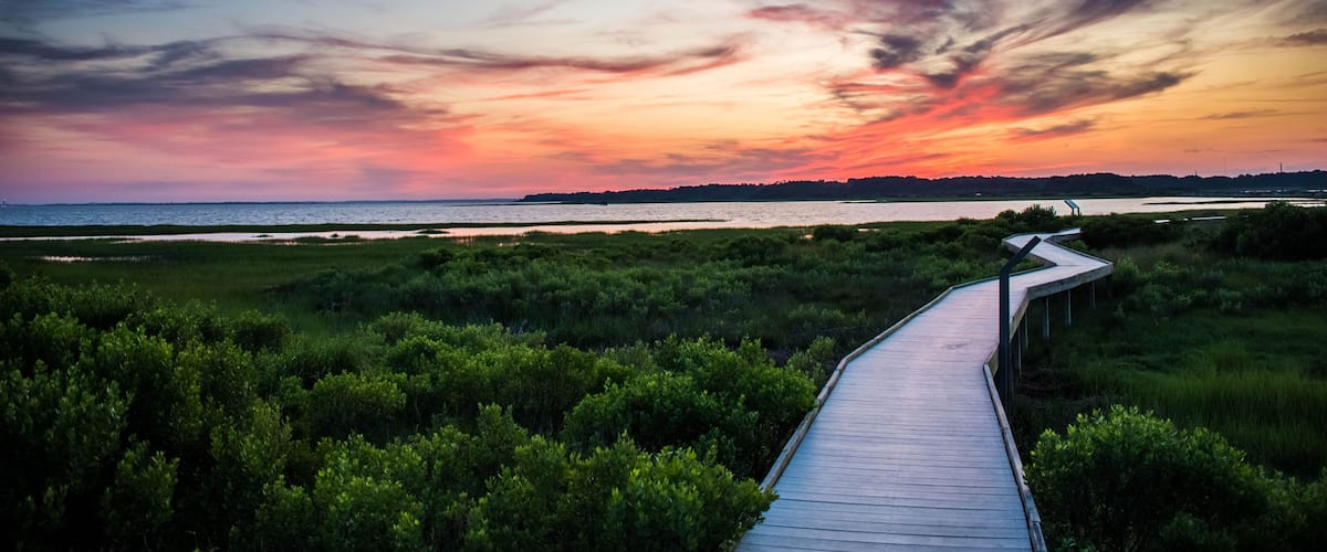 A wooden boardwalk leading through a coastal landscape with dense greenery and a sunset over the water.