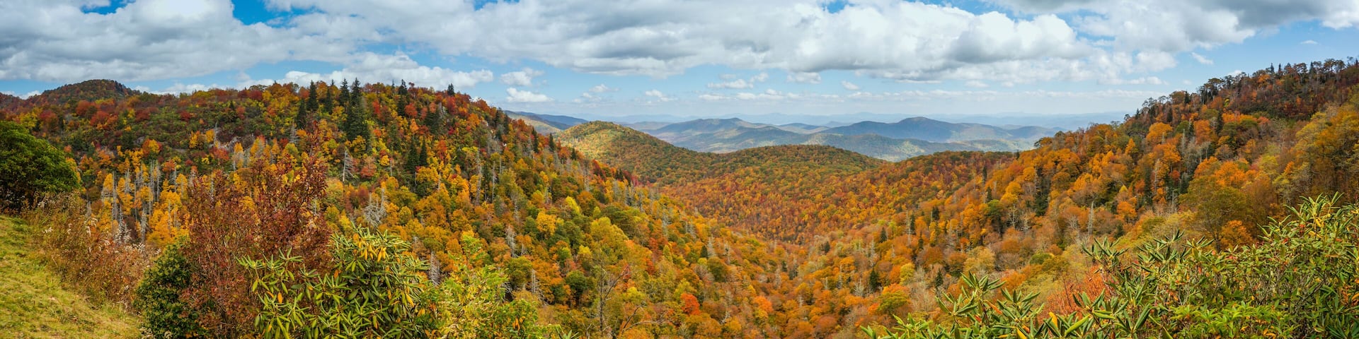 Blue Ridge mountains in late autumn color panorama landscape on the Blue Ridge Parkway in North Carolina