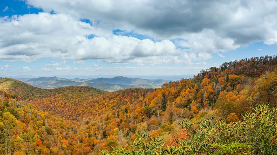A mountainous landscape with autumn foliage.