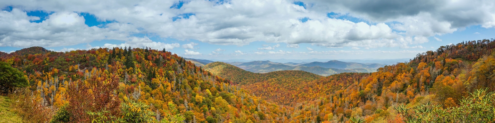 Blue Ridge mountains in late autumn color panorama landscape on the Blue Ridge Parkway in North Carolina