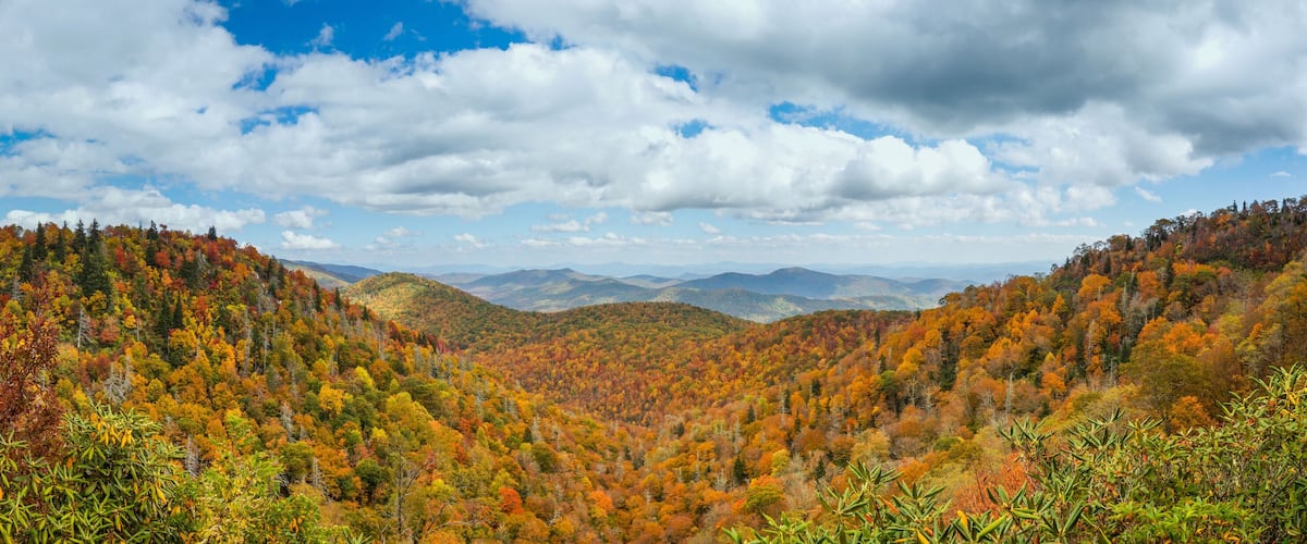A mountainous landscape with autumn foliage.
