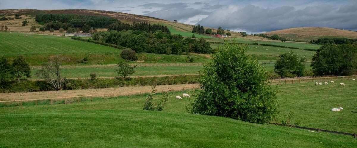 A green valley with rolling hills, scattered trees, and a cloudy sky.