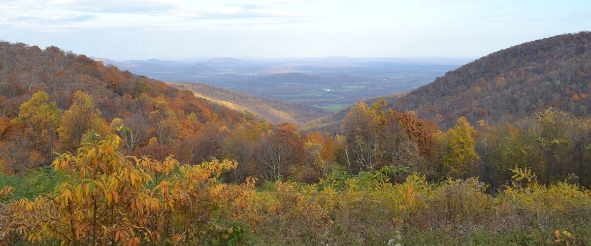 A view from Skyline Drive at the northern part of Shenandoah National Park in Virginia. #Colorful