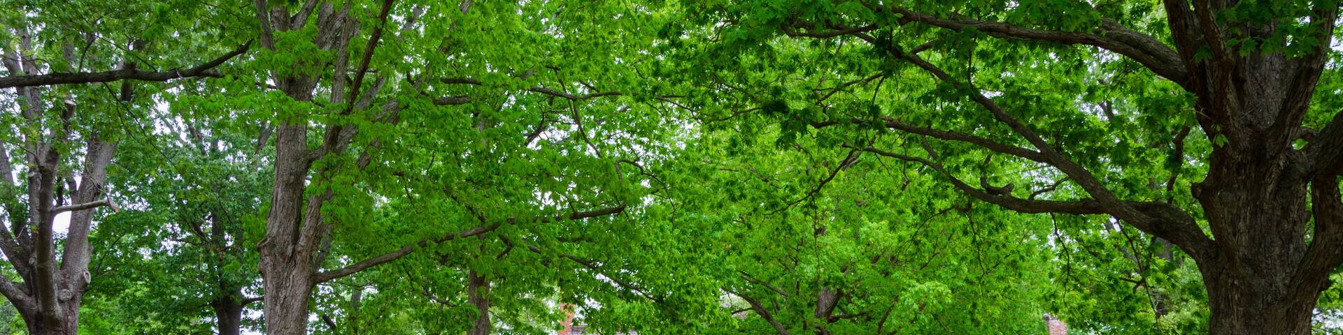 Yorktown Battlefield, Colonial National Historical Park in Virginia