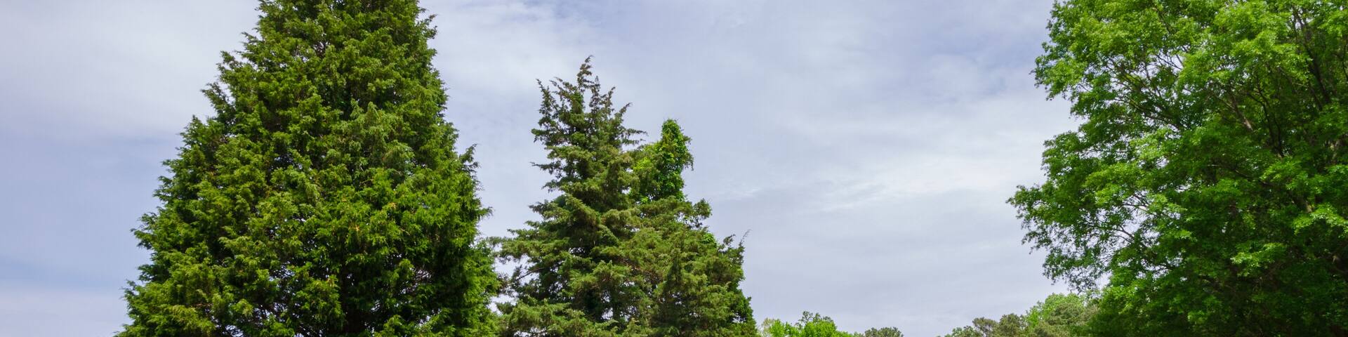 Yorktown Battlefield, Colonial National Historical Park in Virginia