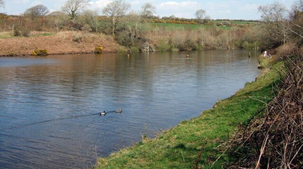 Eastern arm of reservoir The reservoir here fills an inlet created by a side-stream running down toward the main river valley. The floats indicate a no-go area for fishing and boating.
