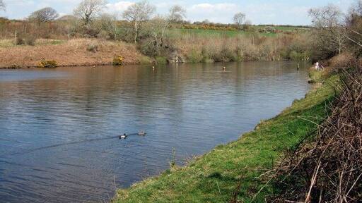 Eastern arm of reservoir The reservoir here fills an inlet created by a side-stream running down toward the main river valley. The floats indicate a no-go area for fishing and boating.